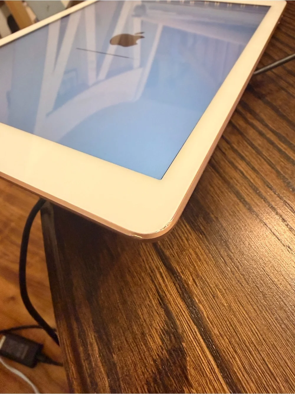 Apple iPad in White and rose gold back